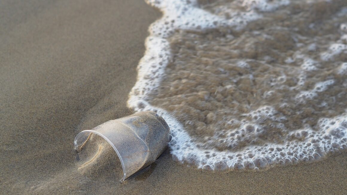 Lixo: Paraíba lidera ranking de maior concentração de macrorresíduos plásticos em praias do país