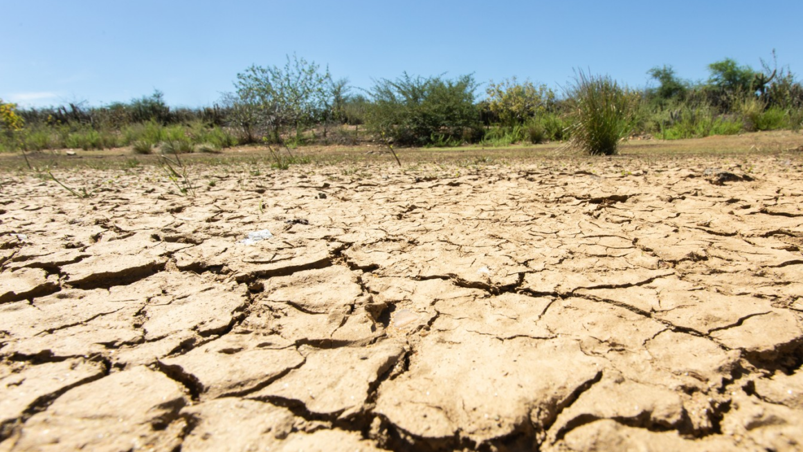 Seis cidades da Paraíba têm estado de emergência decretado devido à estiagem