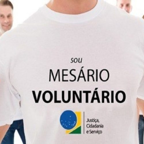 Eleições 2024: Saiba como se candidatar para ser Mesária e Mesário